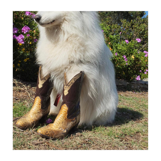 Nocona Cowboy Boots